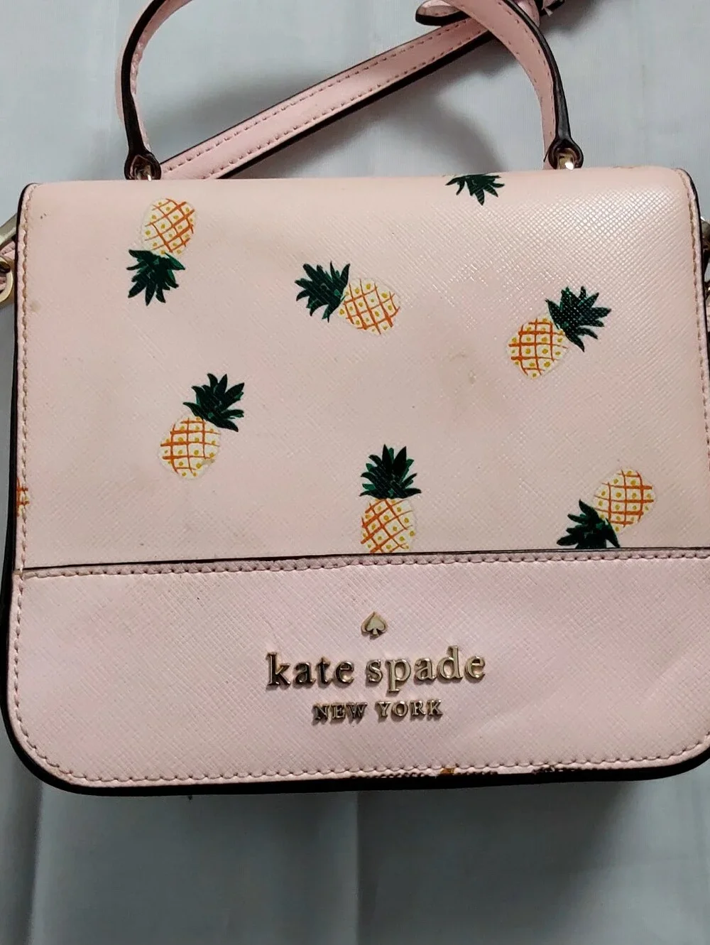 Kate Spade New York Staci Square Pineapple Printed  Bag